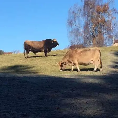 Le Soulaquet Feriehus *