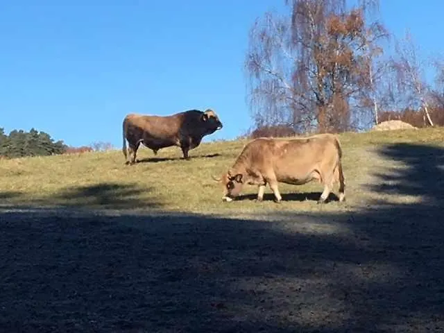 Le Soulaquet Feriehus *
